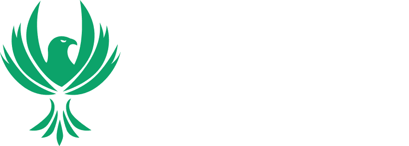 HawkEye Accounting and Tax
